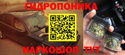 прущие грибы Гусев