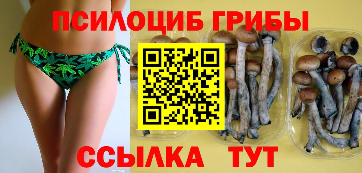 Псилоцибиновые грибы прущие грибы  Галлюциногенные грибы Cubensis  Вход с VPN  Валуйки 