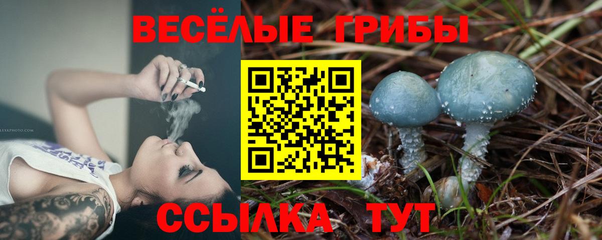 Псилоцибиновые грибы MAGIC MUSHROOMS Валуйки